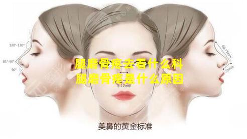 腿磨骨疼去看什么科 腿磨骨疼是什么原因